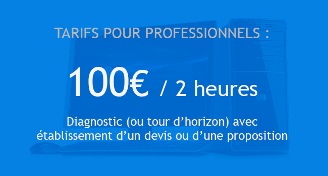 tarifs professionnels : 100euros/h